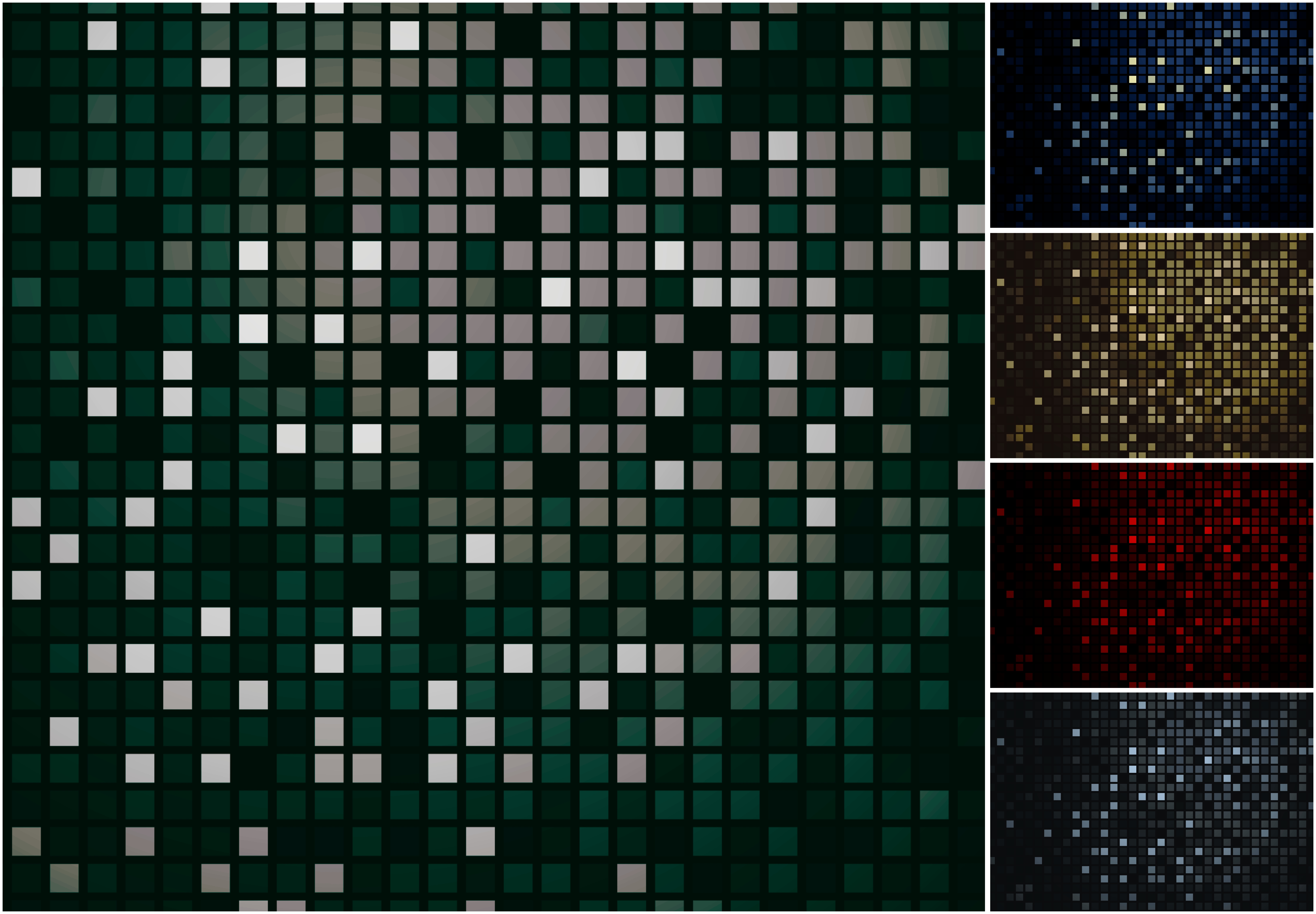 The Contributions Collection